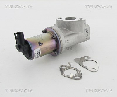 Triscan AGR-Ventil [Hersteller-Nr. 881343021] für Hyundai, Kia von TRISCAN