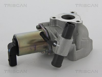 Triscan AGR-Ventil [Hersteller-Nr. 881343020] für Hyundai von TRISCAN