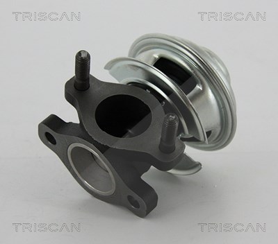 Triscan AGR-Ventil [Hersteller-Nr. 881343008] für Hyundai von TRISCAN