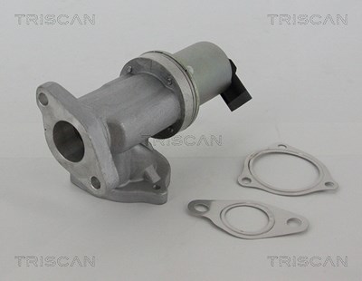 Triscan AGR-Ventil [Hersteller-Nr. 881343002] für Hyundai, Kia von TRISCAN