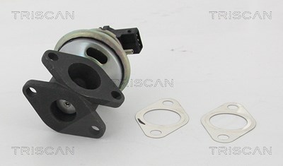 Triscan AGR-Ventil [Hersteller-Nr. 881317100] für Land Rover von TRISCAN