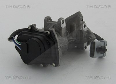 Triscan AGR-Ventil [Hersteller-Nr. 881317019] für Land Rover von TRISCAN