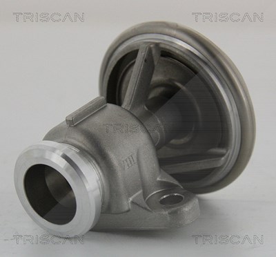 Triscan AGR-Ventil [Hersteller-Nr. 881323201] für Mercedes-Benz von TRISCAN