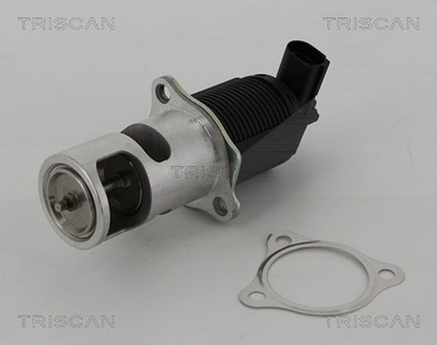 Triscan AGR-Ventil [Hersteller-Nr. 881325005] für Nissan, Opel, Renault von TRISCAN
