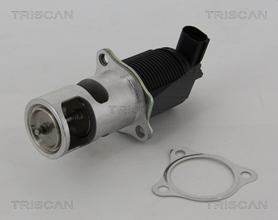 Triscan AGR-Ventil [Hersteller-Nr. 881325005] für Nissan, Opel, Renault, Vauxhall von TRISCAN