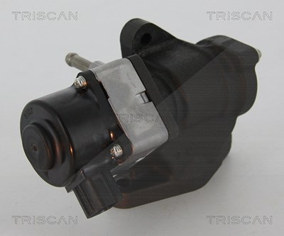 Triscan AGR-Ventil [Hersteller-Nr. 881314005] für Hyundai, Nissan von TRISCAN
