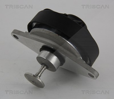 Triscan AGR-Ventil [Hersteller-Nr. 881324202] für Opel von TRISCAN