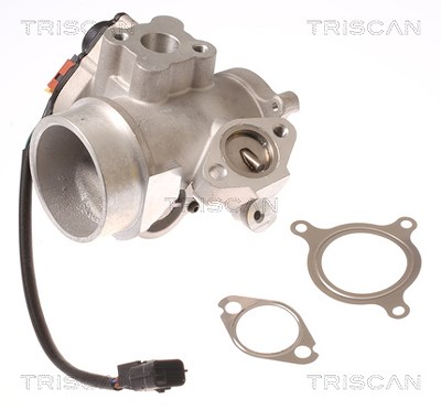 Triscan AGR-Ventil [Hersteller-Nr. 881310012] für Nissan, Opel, Renault, Vauxhall von TRISCAN