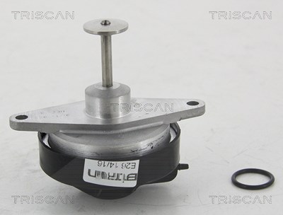 Triscan AGR-Ventil [Hersteller-Nr. 881324208] für Opel, Vauxhall von TRISCAN