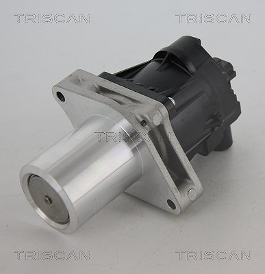 Triscan AGR-Ventil [Hersteller-Nr. 881324205] für Chevrolet, Opel, Vauxhall von TRISCAN