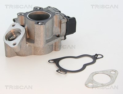 Triscan AGR-Ventil [Hersteller-Nr. 881325203] für Renault von TRISCAN