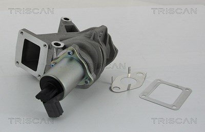 Triscan AGR-Ventil [Hersteller-Nr. 881325100] für Renault von TRISCAN