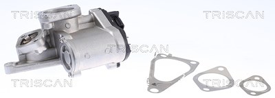 Triscan AGR-Ventil [Hersteller-Nr. 881325201] für Renault von TRISCAN