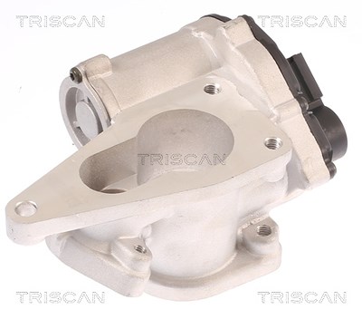 Triscan AGR-Ventil [Hersteller-Nr. 881325012] für Renault, Suzuki von TRISCAN