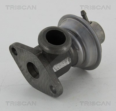 Triscan AGR-Ventil [Hersteller-Nr. 881325011] für Renault von TRISCAN