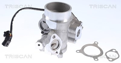 Triscan AGR-Ventil [Hersteller-Nr. 881325200] für Renault von TRISCAN