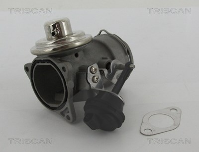 Triscan AGR-Ventil [Hersteller-Nr. 881329036] für Seat, Skoda, VW von TRISCAN