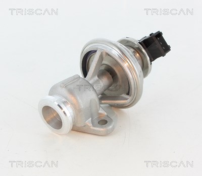 Triscan AGR-Ventil [Hersteller-Nr. 881344010] für Ssangyong von TRISCAN