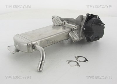 Triscan AGR-Ventil [Hersteller-Nr. 881329305] für VW von TRISCAN