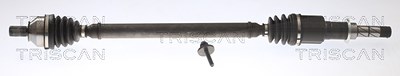 Triscan Antriebswelle [Hersteller-Nr. 854010552] für Renault, Smart von TRISCAN