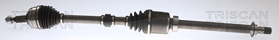 Triscan Antriebswelle [Hersteller-Nr. 854025738] für Dacia, Renault von TRISCAN