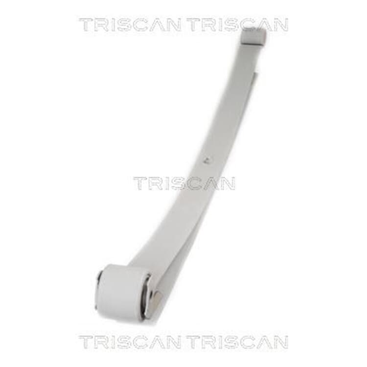 Triscan Blattfeder hinten Citroen Jumper Fiat Ducato Peugeot Boxer von TRISCAN