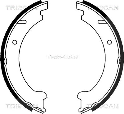 Triscan Bremsbacken Feststellbremse [Hersteller-Nr. 810027506] für Volvo von TRISCAN