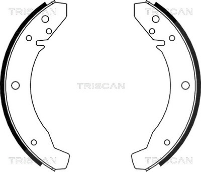 Triscan Bremsbacken für Trommelbremse Hinterachse [Hersteller-Nr. 810029104] für Porsche, VW von TRISCAN