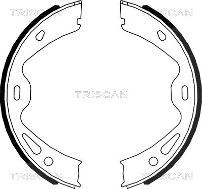 Triscan Bremsbackensatz, Feststellbremse Porsche: Cayman, Boxster, 911 810020005 von TRISCAN