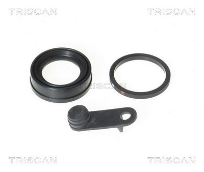 Triscan Dichtung, Bremssattelkolben [Hersteller-Nr. 8170183206] für Citroën, Peugeot von TRISCAN