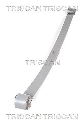 Triscan Federnpaket [Hersteller-Nr. 876510002] für Citroën, Fiat, Peugeot von TRISCAN