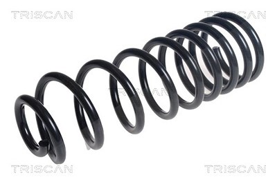 Triscan Fahrwerksfeder [Hersteller-Nr. 875016153] für Ford von TRISCAN