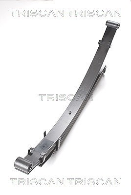 Triscan Fahrwerksfeder [Hersteller-Nr. 876542006] für Mitsubishi von TRISCAN