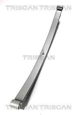 Triscan Federnpaket Hinterachse [Hersteller-Nr. 876523015] für Mercedes-Benz, VW von TRISCAN