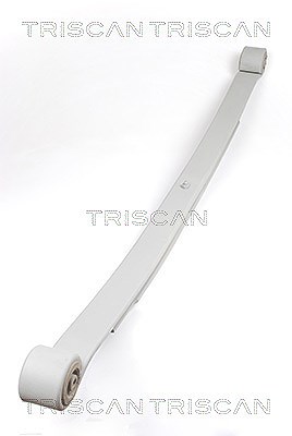 Triscan Federnpaket [Hersteller-Nr. 876523020] für Mercedes-Benz, VW von TRISCAN