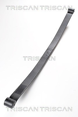 Triscan Federnpaket [Hersteller-Nr. 876524006] für Nissan, Opel, Renault, Vauxhall von TRISCAN