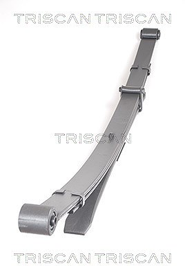 Triscan Federnpaket [Hersteller-Nr. 876514013] für Nissan von TRISCAN