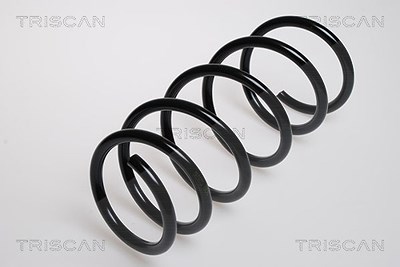 Triscan Fahrwerksfeder [Hersteller-Nr. 87502529] für Nissan, Renault von TRISCAN