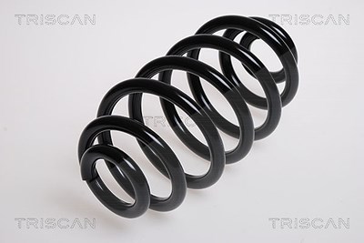 Triscan Fahrwerksfeder [Hersteller-Nr. 87501719] für Rover von TRISCAN