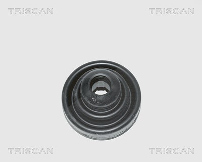 Triscan Faltenbalgsatz, Antriebswelle [Hersteller-Nr. 854015908] für Autobianchi, Fiat, Ford, Seat von TRISCAN
