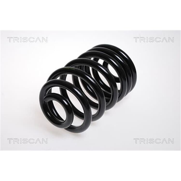 Triscan Feder Hinten Nissan Primastar Opel Vivaro Renault Trafic Triscan Feder Hinten Nissan Primastar Opel Vivaro Renault Trafic von TRISCAN
