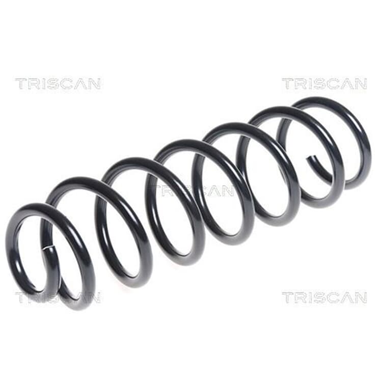 Triscan Feder Hinten Renault Megane Sc?nic Triscan Feder Hinten Renault Megane Sc?nic von TRISCAN