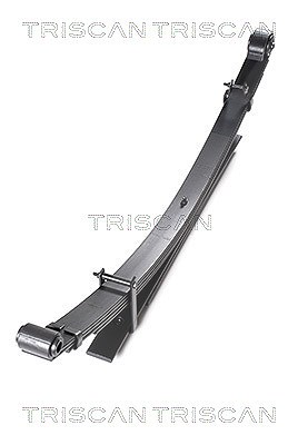Triscan Federnpaket (Blattfeder) Hinterachse [Hersteller-Nr. 876513022] für Toyota von TRISCAN