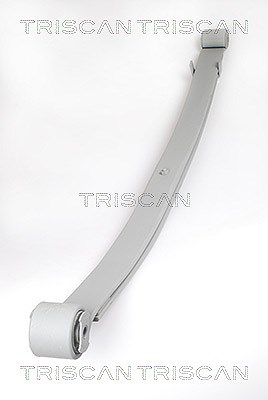 Triscan Federnpaket [Hersteller-Nr. 876510005] für Citroën, Fiat, Peugeot von TRISCAN