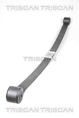 Triscan Federnpaket [Hersteller-Nr. 876516039] für Ford von TRISCAN