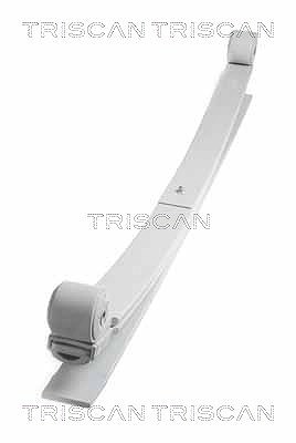 Triscan Federnpaket [Hersteller-Nr. 876516042] für Ford von TRISCAN