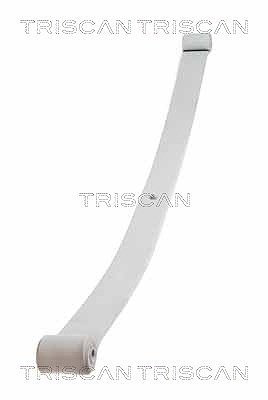 Triscan Federnpaket [Hersteller-Nr. 876510004] für Iveco von TRISCAN