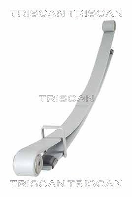 Triscan Federnpaket [Hersteller-Nr. 876510011] für Nissan, Opel, Renault, Vauxhall von TRISCAN