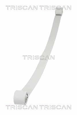 Triscan Federnpaket [Hersteller-Nr. 876516043] für Ford von TRISCAN
