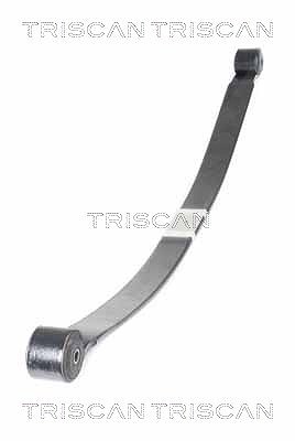 Triscan Federnpaket [Hersteller-Nr. 876516055] für Ford von TRISCAN